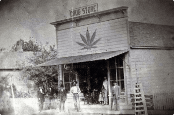 Delaware cannabis history