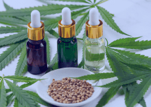 Delaware Active Medical Marijuana Patients in 2025.png